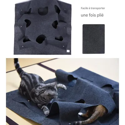 IntiMeg Tapis de Jeu pour Chat