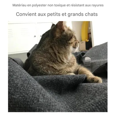 IntiMeg Tapis de Jeu pour Chat