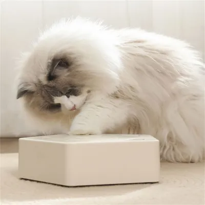 Pet Planet Smart Mice Attrapant Le Jouet