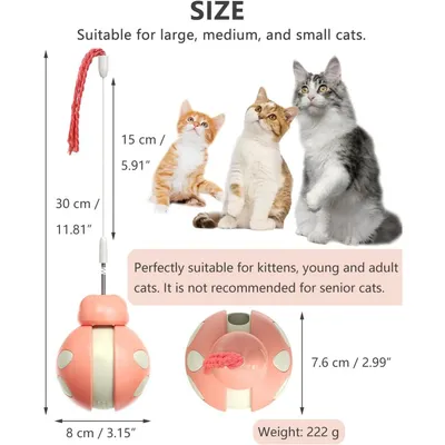 Pet Planet Chats Jouet interactif