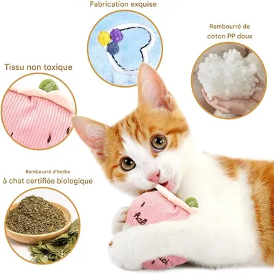 IntiMeg Jouets pour chats en herbe à chat