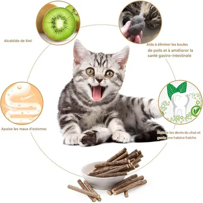 IntiMeg Jouets pour chats en herbe à chat