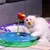 IntiMeg Jouet Cat Activity Flip Board pour chat