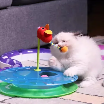 IntiMeg Jouet Cat Activity Flip Board pour chat