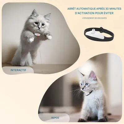 Pet Planet Collier à laser intelligent pour chat