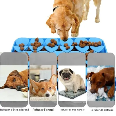 Pet Planet Alfombrilla para lamer premios Dogs and Cats Discovery Pack
