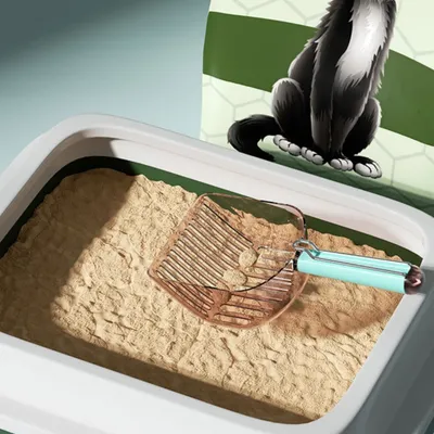 Petopia Pelle à litière transparente pour chat