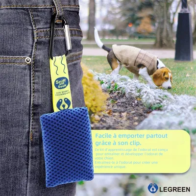 IntiMeg Kit de formation à l'odeur pour chien