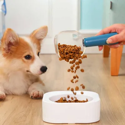 Petopia Cuillère doseuse pour chats et petits animaux