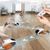Pet Planet Jouet interactif Turbo Tail 2.0 pour chat
