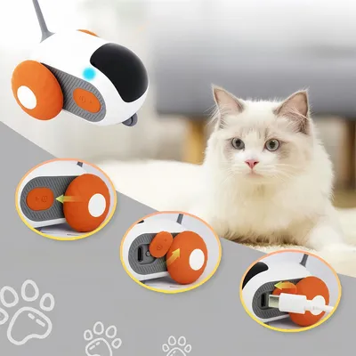 Pet Planet Jouet interactif Turbo Tail 2.0 pour chat