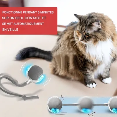 Pet Planet Chats Jouet Interactif FunTech Pack