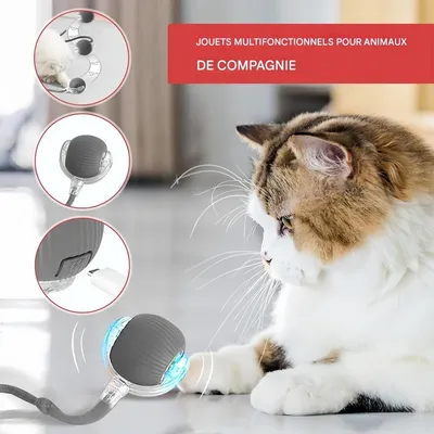 Pet Planet Chats Jouet Interactif FunTech Pack