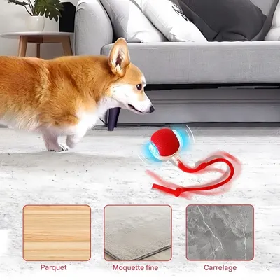 Pet Planet Chats Jouet Interactif FunTech Pack