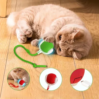 Pet Planet Chats Jouet Interactif FunTech Pack