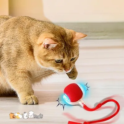 Pet Planet Chats Jouet Interactif FunTech Pack