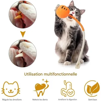 Pet Planet Chats InteractiveSet Lot de 4 Jouets