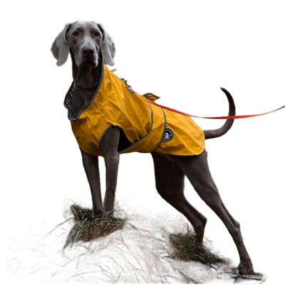 Pet Planet Veste imperméable pour chien de plein air