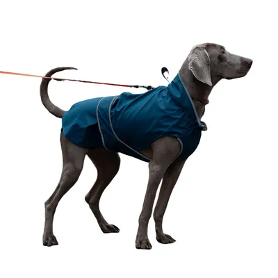 Pet Planet Veste imperméable pour chien de plein air