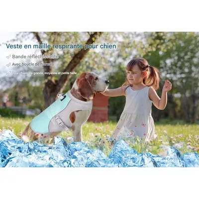 IntiMeg Kühlweste für Hunde