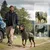 Pet Planet Veste imperméable et réfléchissante pour chien Pet Planet Veste imperméable et réfléchissante pour chien
