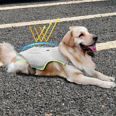 IntiMeg Kühljacke für Hunde IntiMeg Kühljacke für Hunde