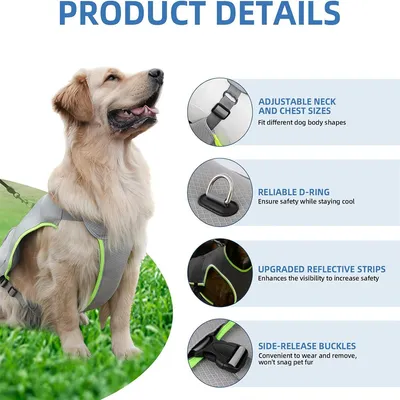 IntiMeg Kühljacke für Hunde