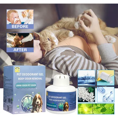 IntiMeg Spray Anti OdeurAnimaux Domestiques