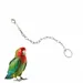 Petopia Bracelet de cheville en acier inoxydable pour perroquet