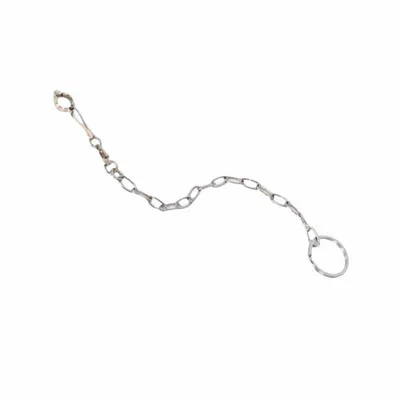 Petopia Bracelet de cheville en acier inoxydable pour perroquet