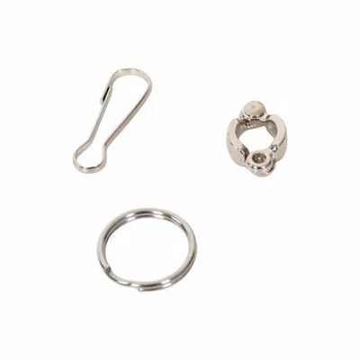 Petopia Bracelet de cheville en acier inoxydable pour perroquet