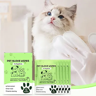 IntiMeg Lingettes nettoyantes jetables