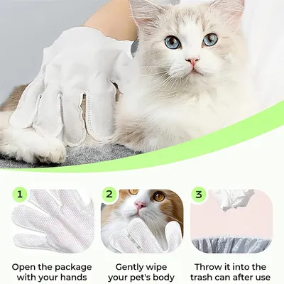 IntiMeg Lingettes nettoyantes jetables