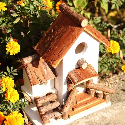 IntiMeg Mangeoire à oiseaux en bois