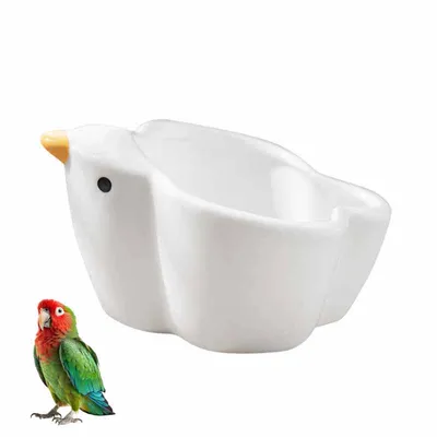 Petopia Bol en céramique pour perroquet