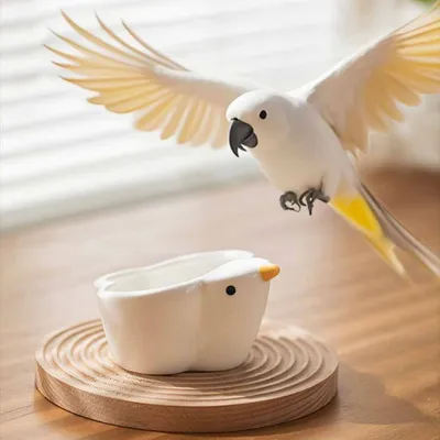 Petopia Bol en céramique pour perroquet