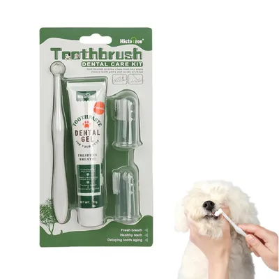 FurryFusion Set de cepillo y pasta de dientes para perros