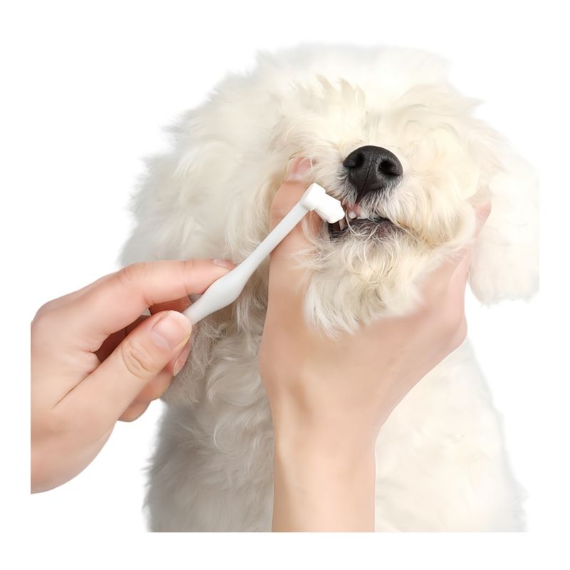 FurryFusion Ensemble brosse à dents et dentifrice pour chien