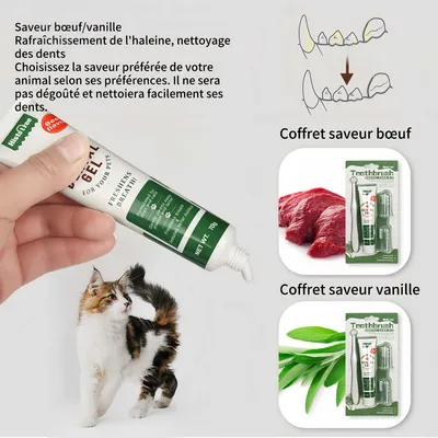 FurryFusion Ensemble brosse à dents et dentifrice pour chien