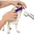 Pet Planet Chiens DentalCare Kit de Soins Dentaires