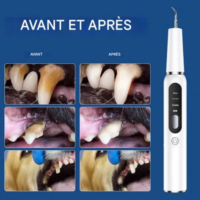 Petopia Nettoyant pour dents de chat et de chien