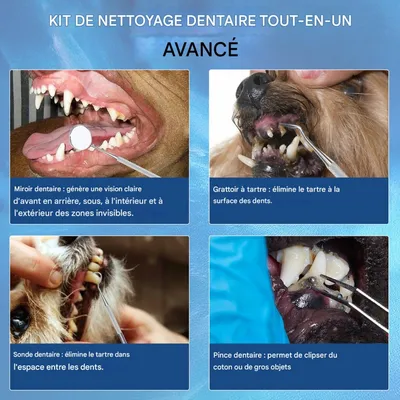 Petopia Nettoyant pour dents de chat et de chien