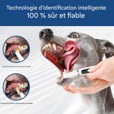 Petopia Nettoyant pour dents de chat et de chien