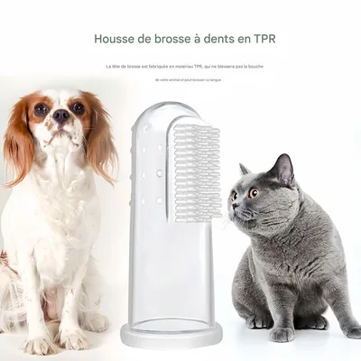 FurryFusion Ensemble brosse à dents et dentifrice pour chien