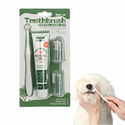 FurryFusion Ensemble brosse à dents et dentifrice pour chien