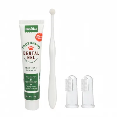 FurryFusion Ensemble brosse à dents et dentifrice pour chien