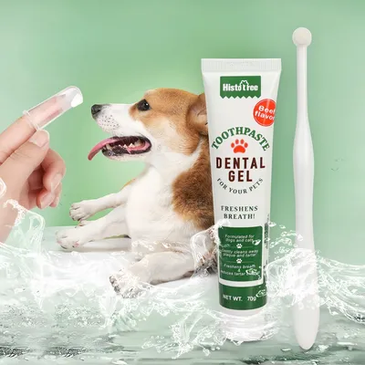 FurryFusion Ensemble brosse à dents et dentifrice pour chien