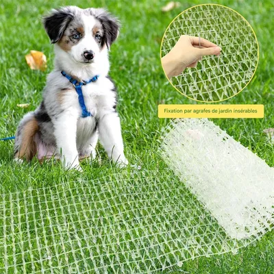 IntiMeg Tapis de Dressage Dissuasif pour Chat et Chien IntiMeg Tapis de Dressage Dissuasif pour Chat et Chien