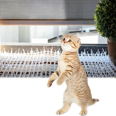 IntiMeg Tapis de Dressage Dissuasif pour Chat et Chien IntiMeg Tapis de Dressage Dissuasif pour Chat et Chien