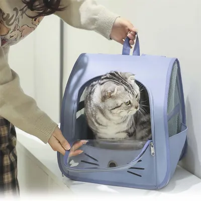 IntiMeg Sac de Transport pour Chat